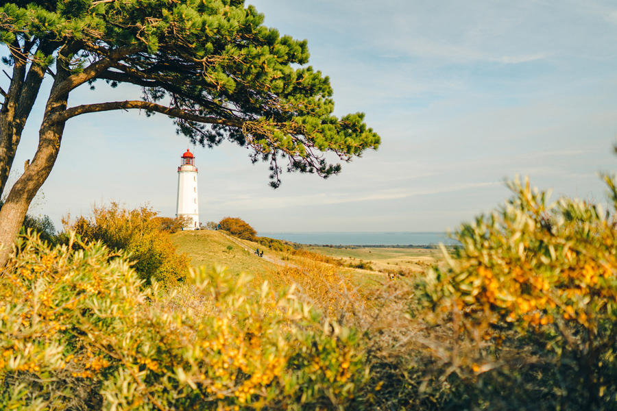 (c) Kurverwaltung Ostseebad Boltenhagen