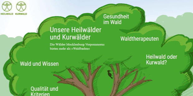 Heilwälder und Kurwälder in M-V