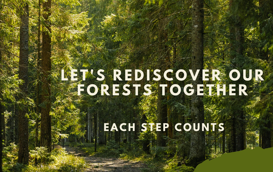 Interreg Projekt »Back2Woods«