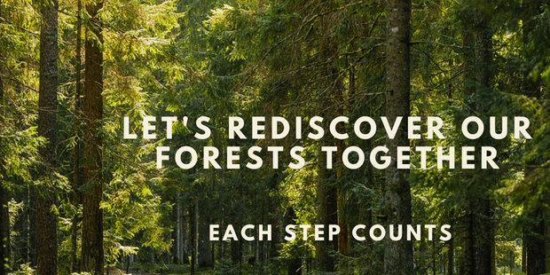 Interreg Projekt »Back2Woods«