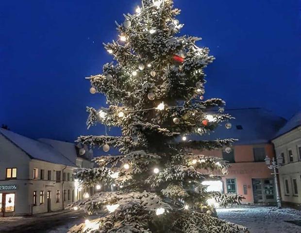 2021 12 03 Weihnachtsbaum Markt Bildautor Gabriele Riech