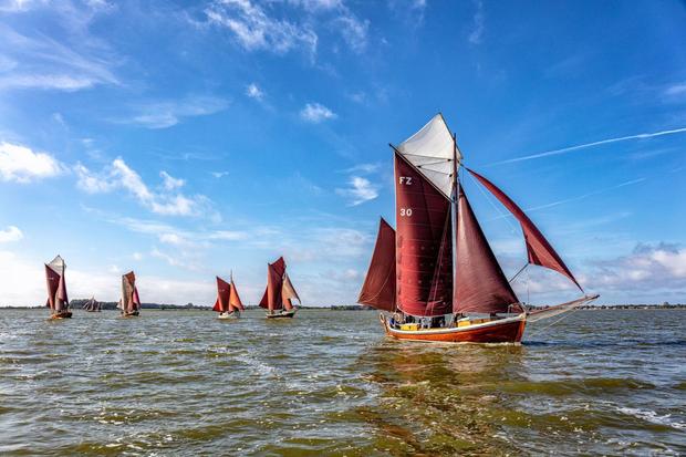 Fischerregatta 2019