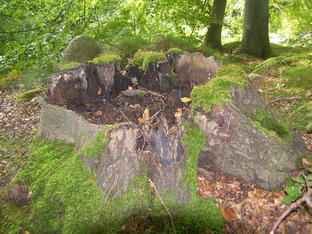 granitz-sept-2007-77_1