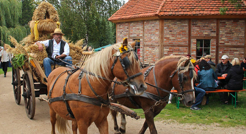 erntefest_im_freilichtmuseum_klockenhagen_02