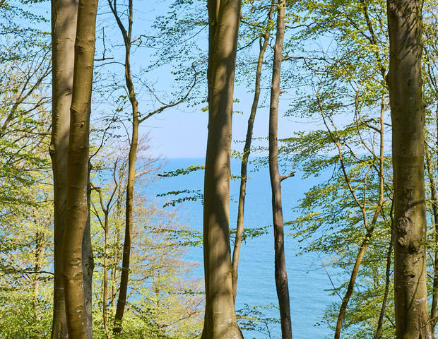 20230508-Granitz-21-Foto-Burwitz-Pocha