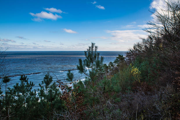 Wanderung mit dem Revierförster