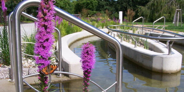 Feldberg: Kneipp-Zeit 