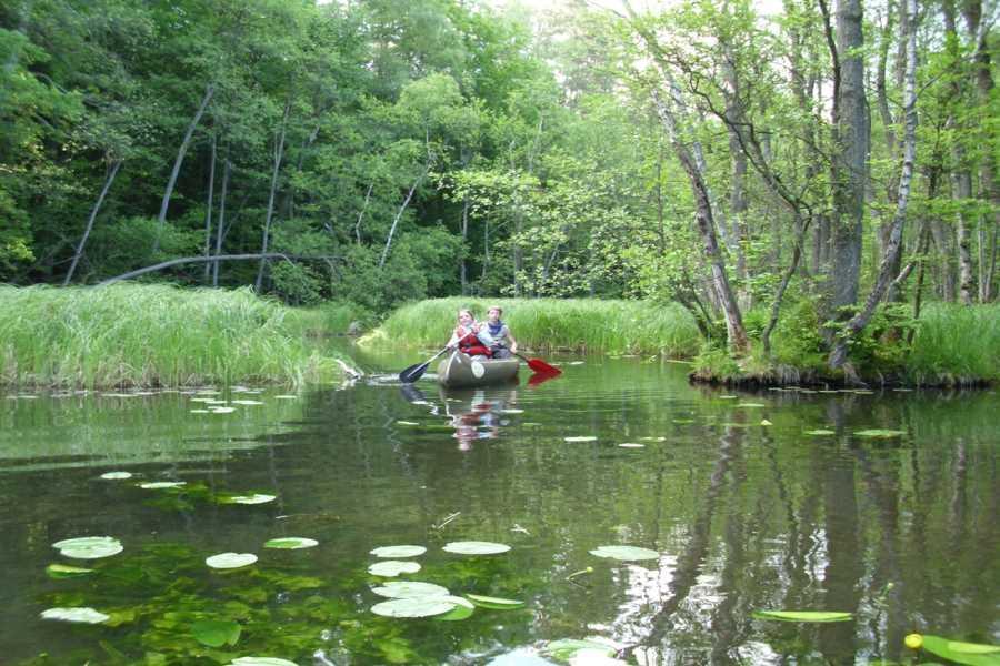 Paddler in der Feldberger Seenlandschaft