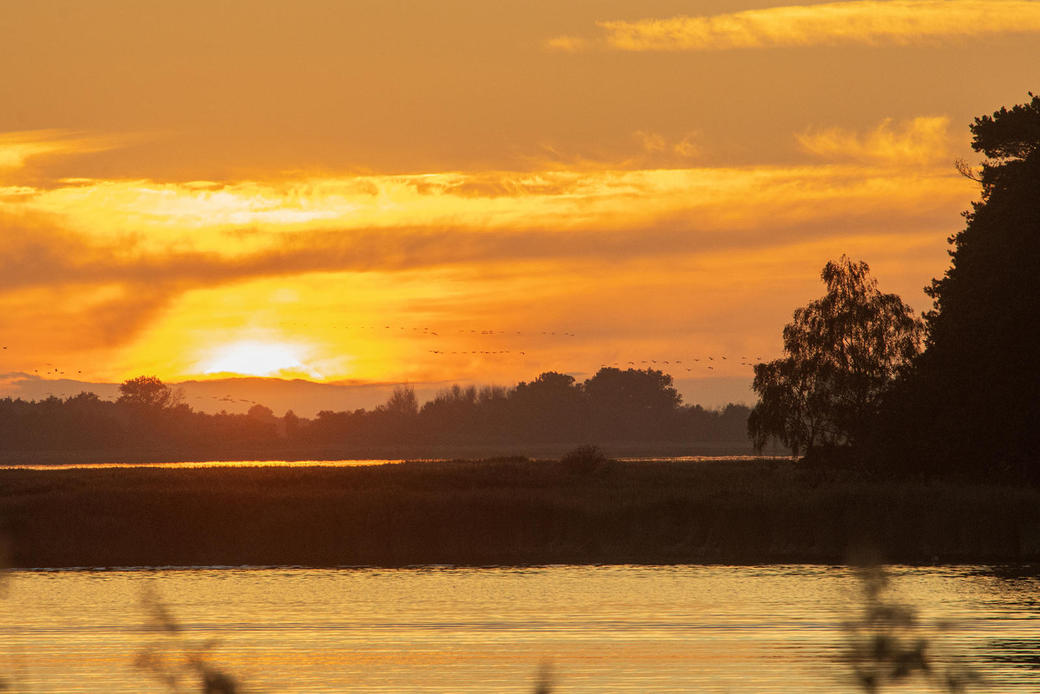 Reederei-Zingst-Oswald-Abendfahrten-008