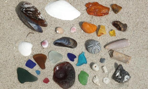 strandfunde-an-der-ostsee