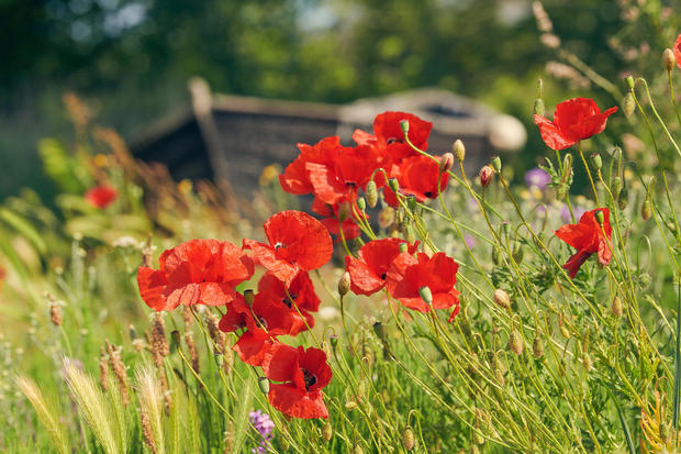 20230610-Neuensien-06-Foto-ChBurwitz