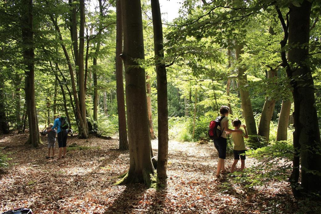 Der Natur auf der Spur