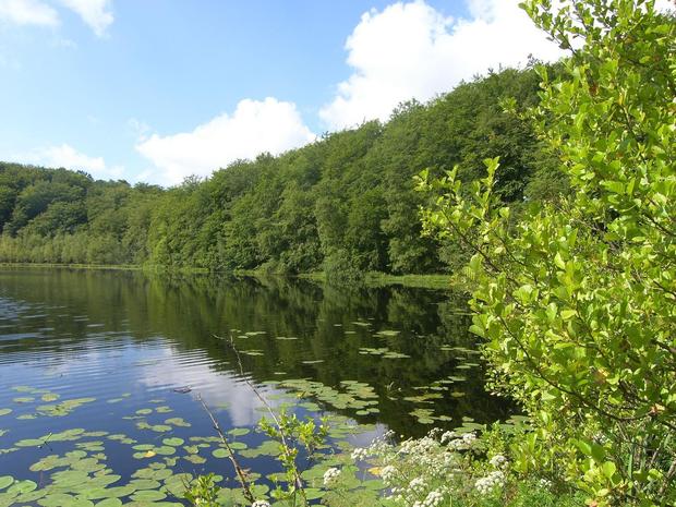 schwarzer-see_granitz-7