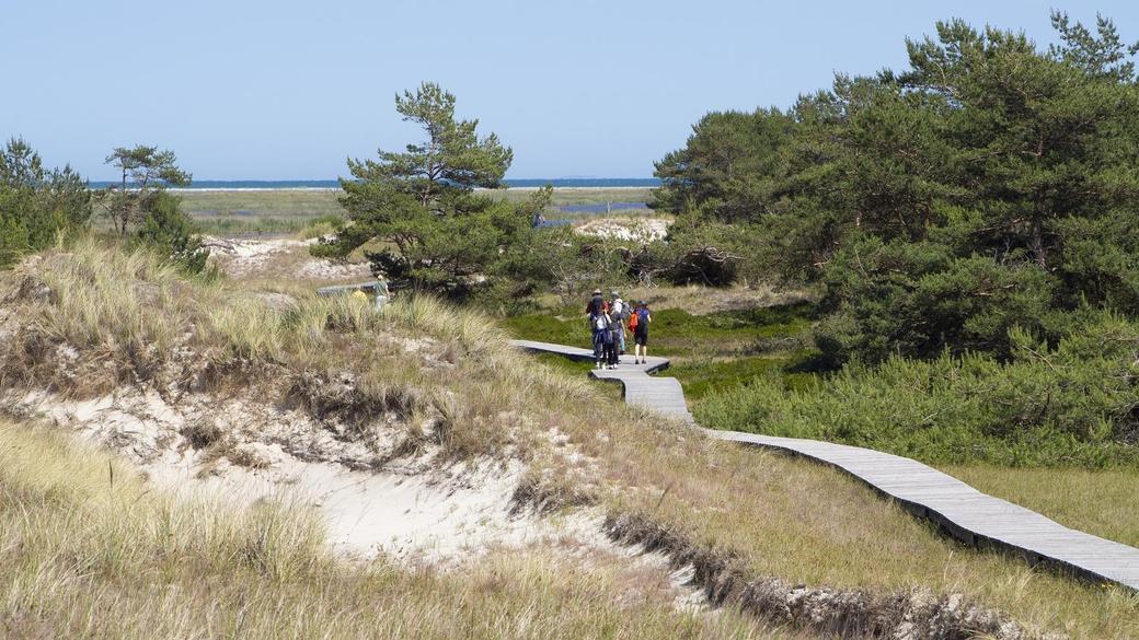 Dünensand_LSturm_1800