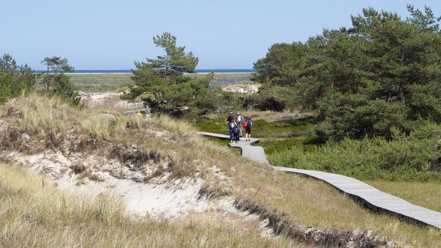 Dünensand_LSturm_1800