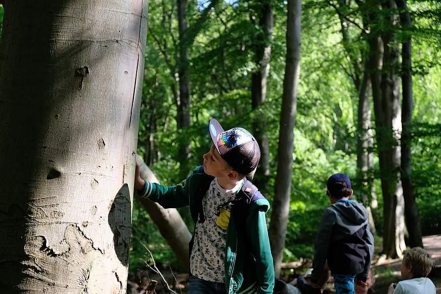 Familien-Sommerwanderung "Im Reich der Schatten"