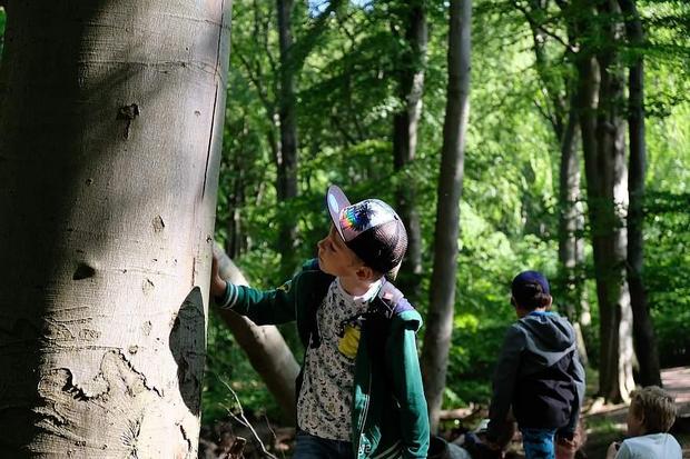 Familien-Sommerwanderung "Im Reich der Schatten"