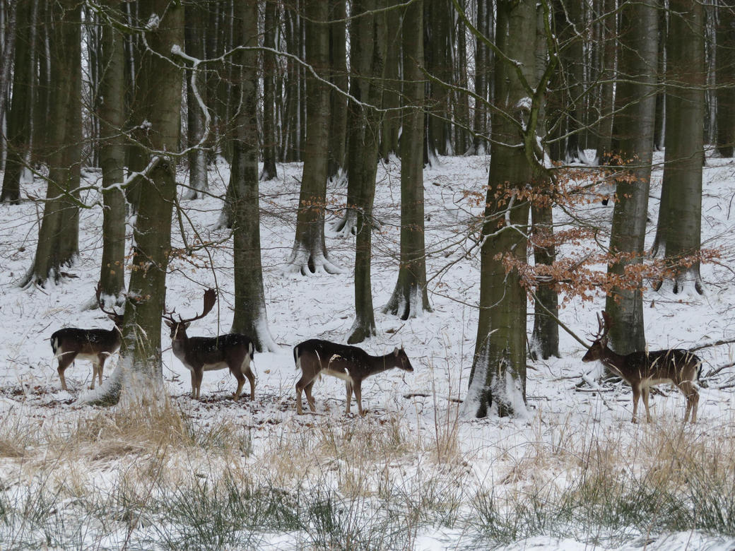 Spaziergang Tierische Schlafmützen