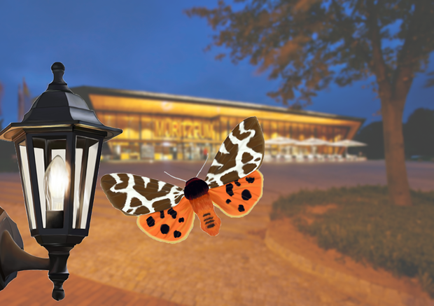 Insekten-Lichtfallen_Fangaktion_HG_less-sat