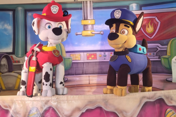 PAW PATROL IMX