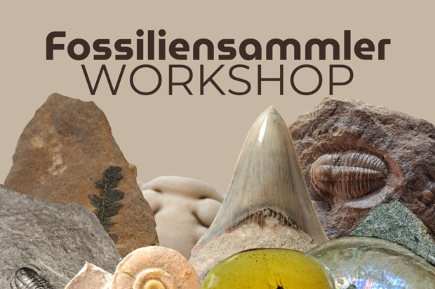 Fossiliensammlerworkshop IMX