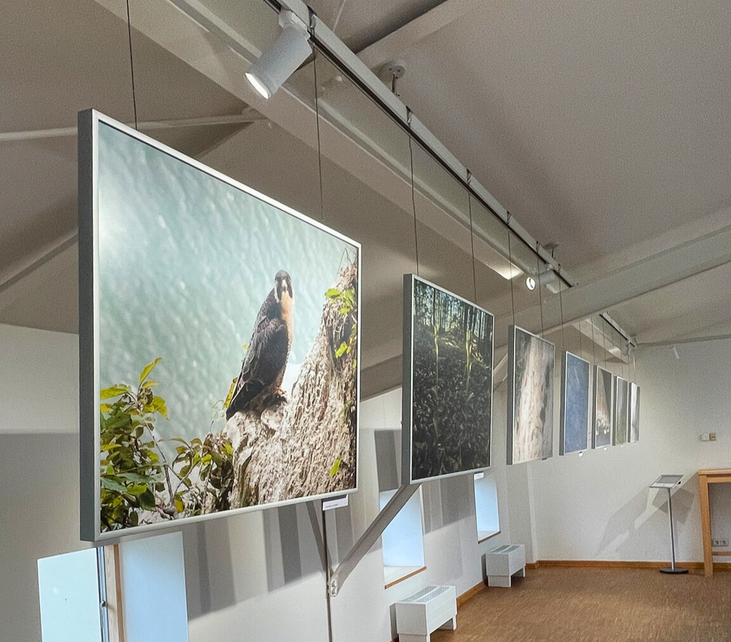 Fotoausstellung_Jürgen Reich