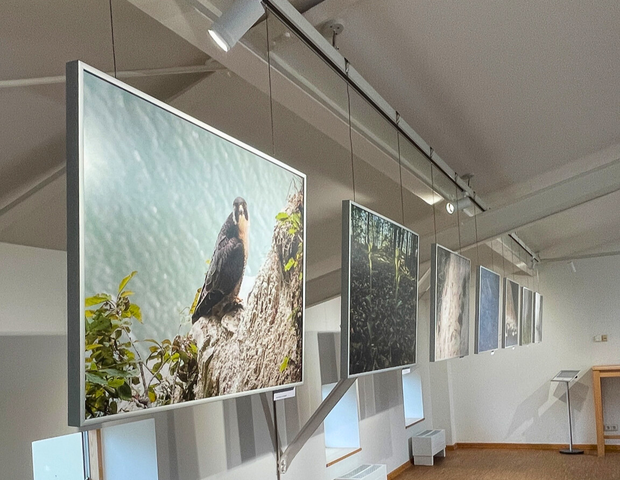 Fotoausstellung_Jürgen Reich