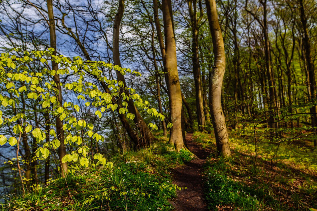 Frühjahrsputz im Biosphärenreservat