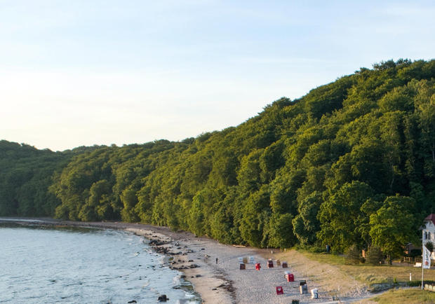 Für Kinder: Mit dem Ranger Wald und Strand entdecken