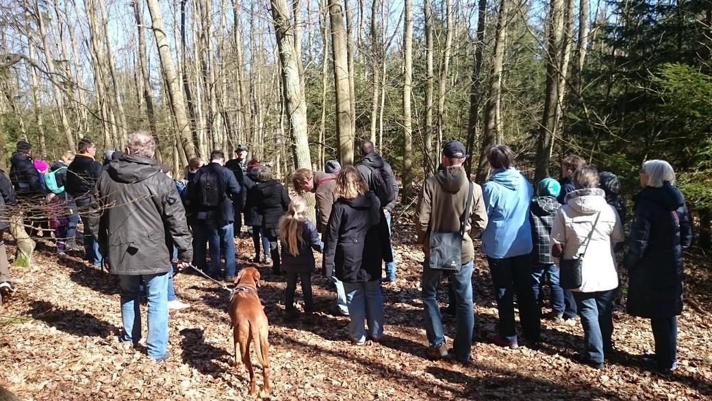 Geführte Wanderung zum Internationalen Tag des Waldes
