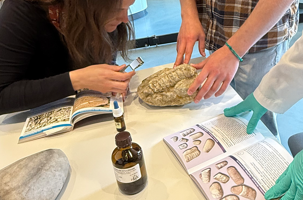 Gesteinssprechstunde-Müritzeum_VD