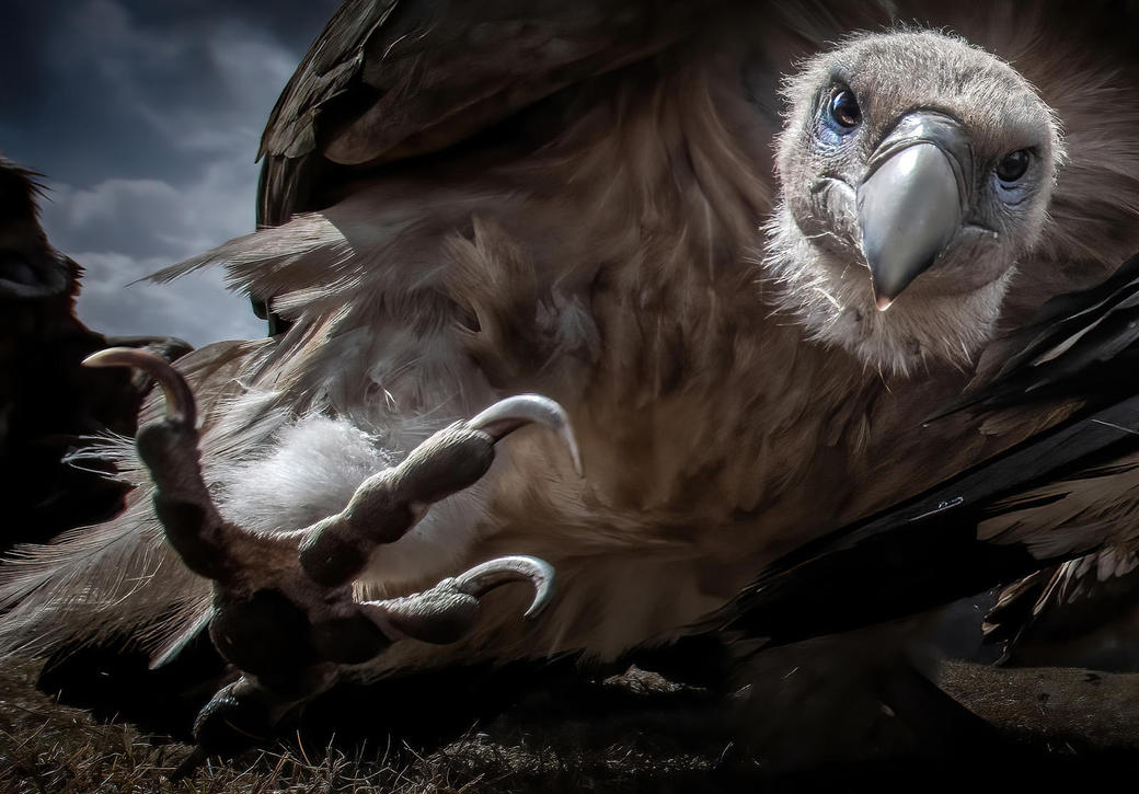 Gewinnerfoto Pölking Award_Glanzlichter2024