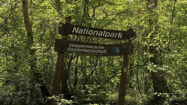 2-nationalpark-bug