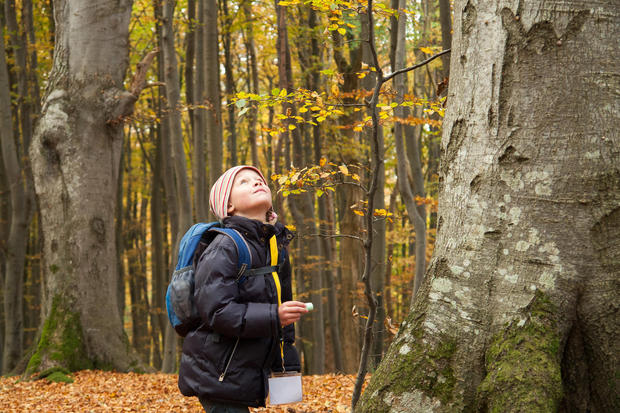 KindHerbst_DSC3108