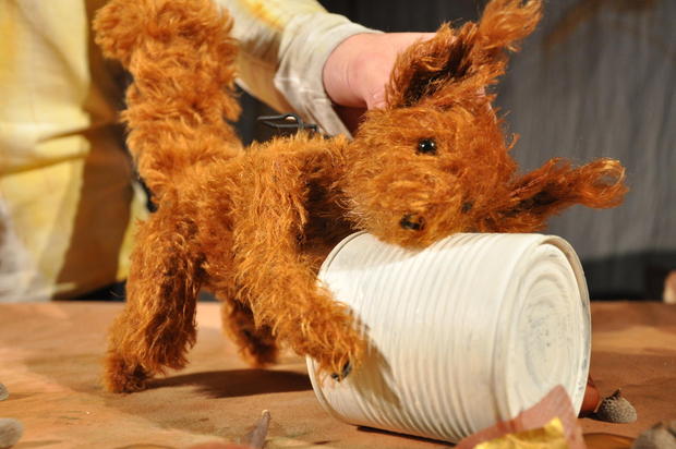 Herr Eichhorn und Schnee