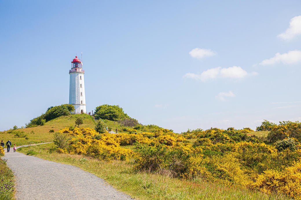 Leuchtturm Dornbusch