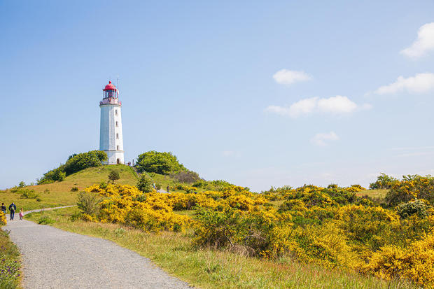 Leuchtturm Dornbusch