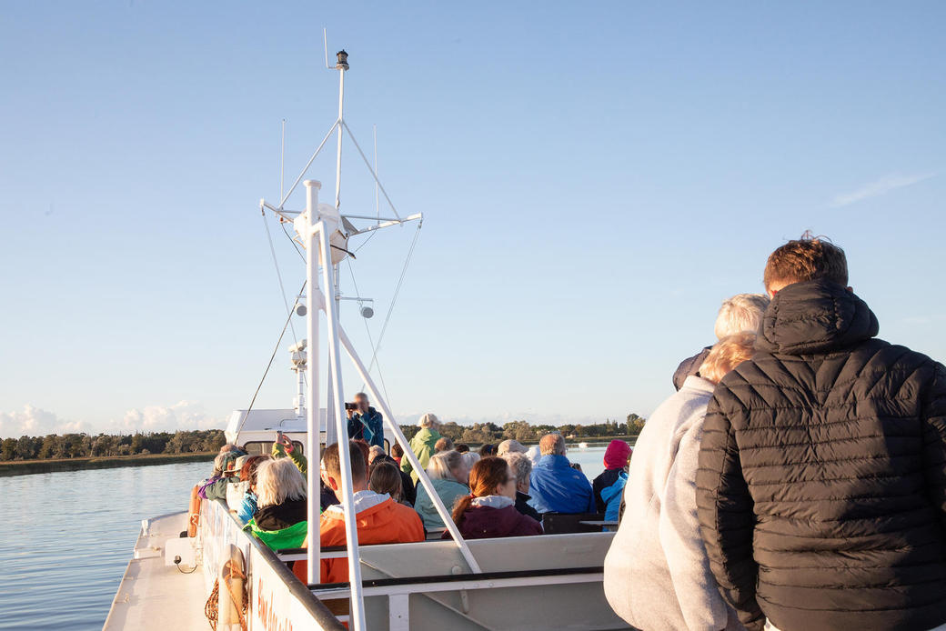 Kranichfahrten mit dem Fahrgastschiff Swantevit
