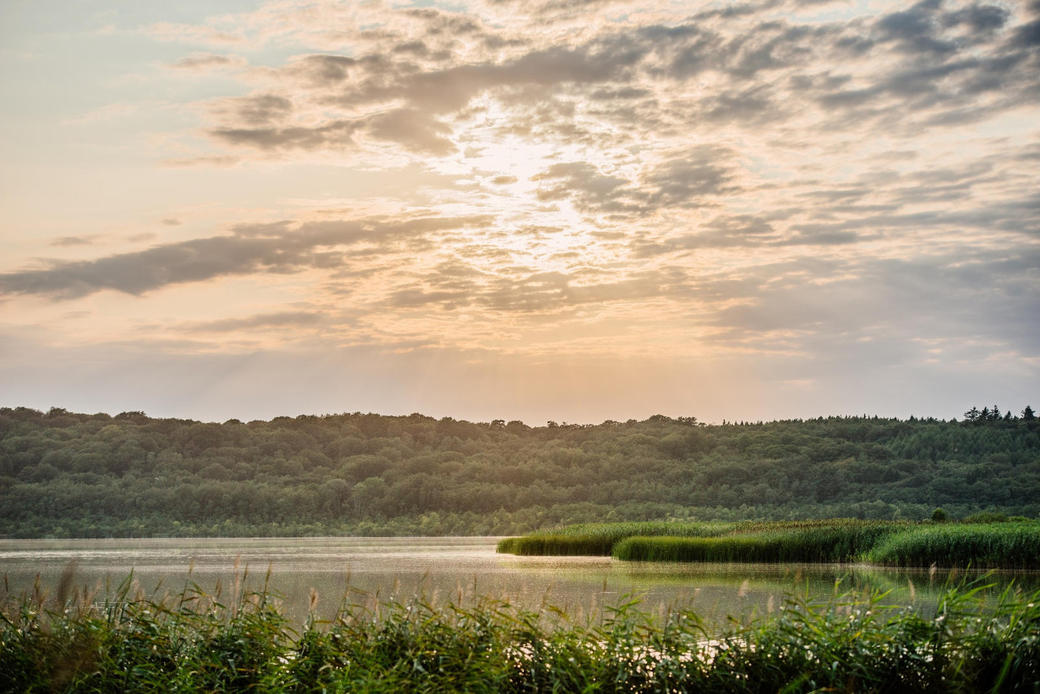 Kurs: Sunset Yoga am Schmachter See