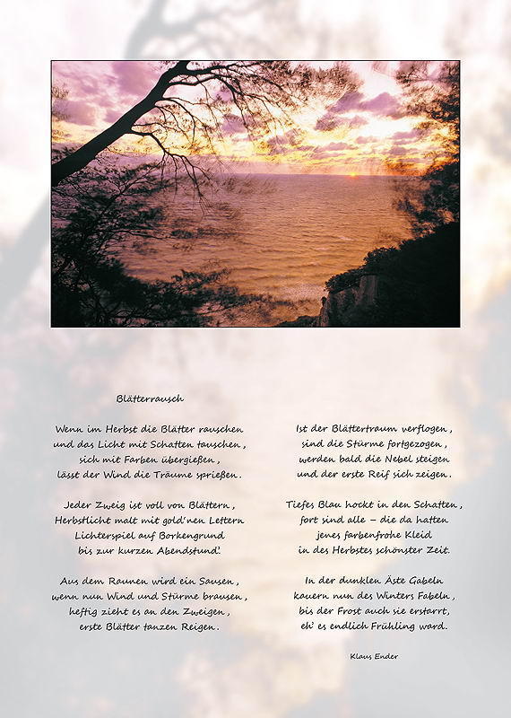 Blätterrausch