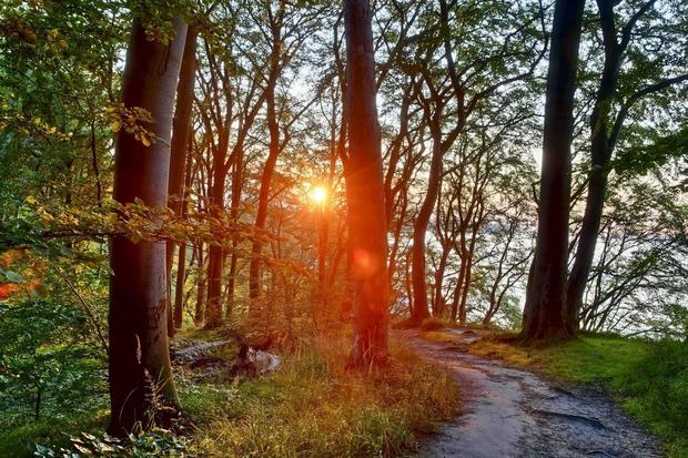 Literarischer Spaziergang (c) Kurverwaltung Goehren Martin Stoever_07-2019_P5I1472_71_70_69_68_HDR projects-2