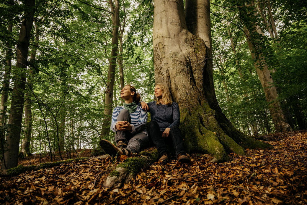 MeerBalance: Waldbaden