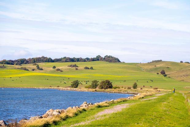 Moenchgut entdecken Fruehling u. Herbst (c) Kurverwaltung Goehren Martin Stoever_10-2020_P5I9425