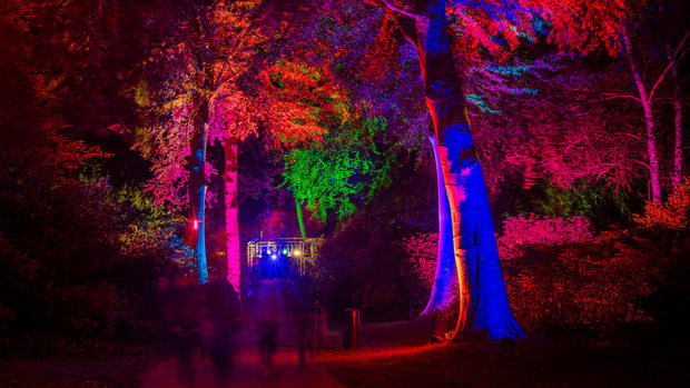 »Nachts im Park« — ein entspanntes Lichtkunst-Event