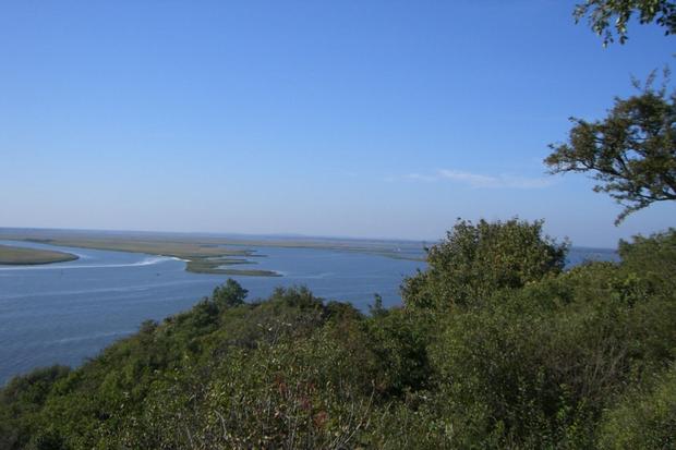 Natur pur - Swinedelta: Abenteuer-Bootstour mit Rudi