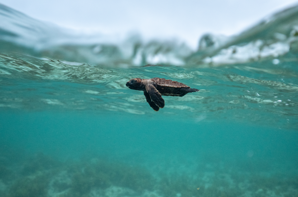 Seychellen_MartinaAndres_VD