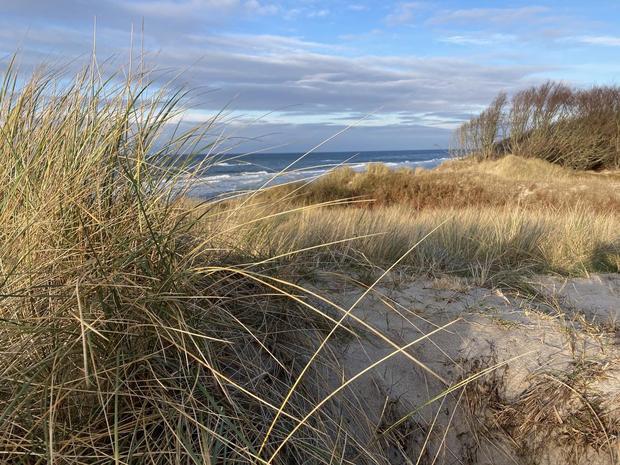 K_Baerwald_Weststrand_Winter