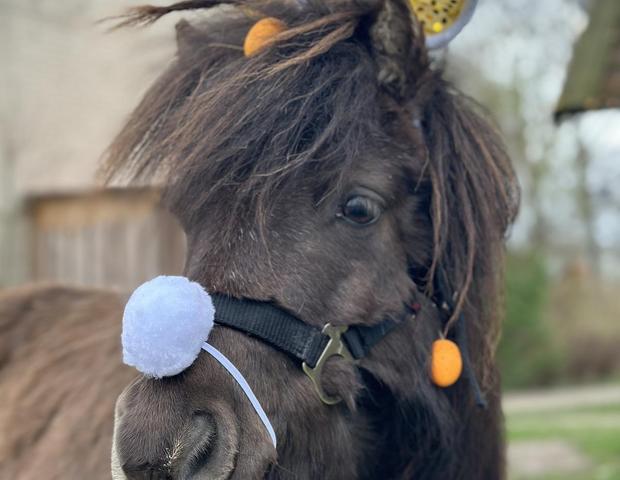 Ostern bei den Bernsteinreitern