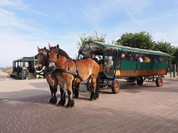 Planwagen-/ Kremser- und Kutschfahrt