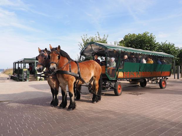 Planwagen-/ Kremser- und Kutschfahrt